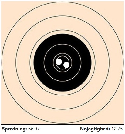 Skive med skud og data